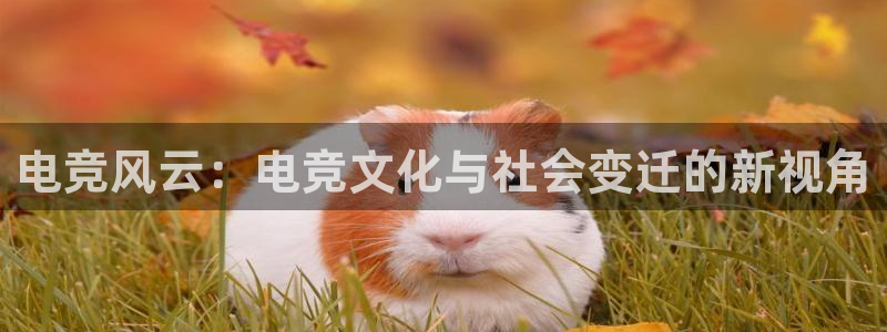 2021泛亚电竞网址：电竞风云：电竞文化与社会变迁的新视角