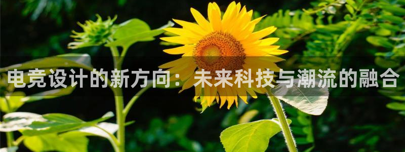 泛亚电竞最新版下载：电竞设计的新方向：未来科技与潮流的融合